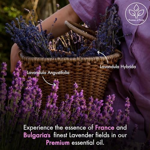 Lavender Essential Oil 4oz – 100% Pure Natural Aromatherapy Oil